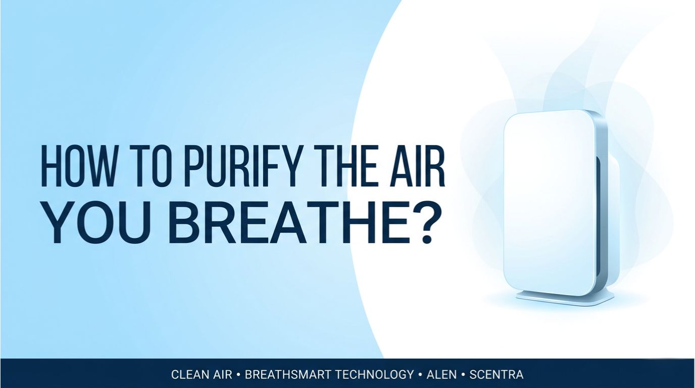 How to Purify the Air You Breathe
